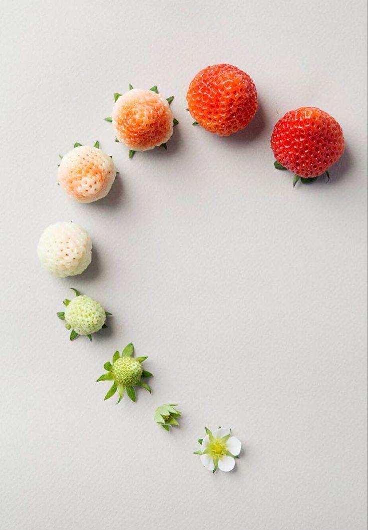 Harvest Basket: Wholesome Berry Fusion